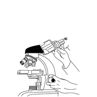 Microscope