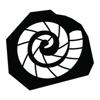 Ammonite